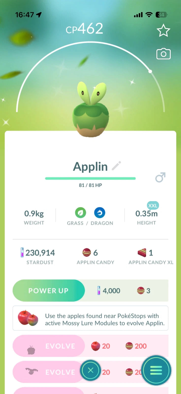 Shiny Applin XXL PTC Go - NEW!
