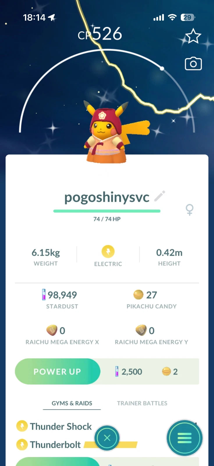 Shiny Pikachu Hanbok Costume Autumn Picnic
