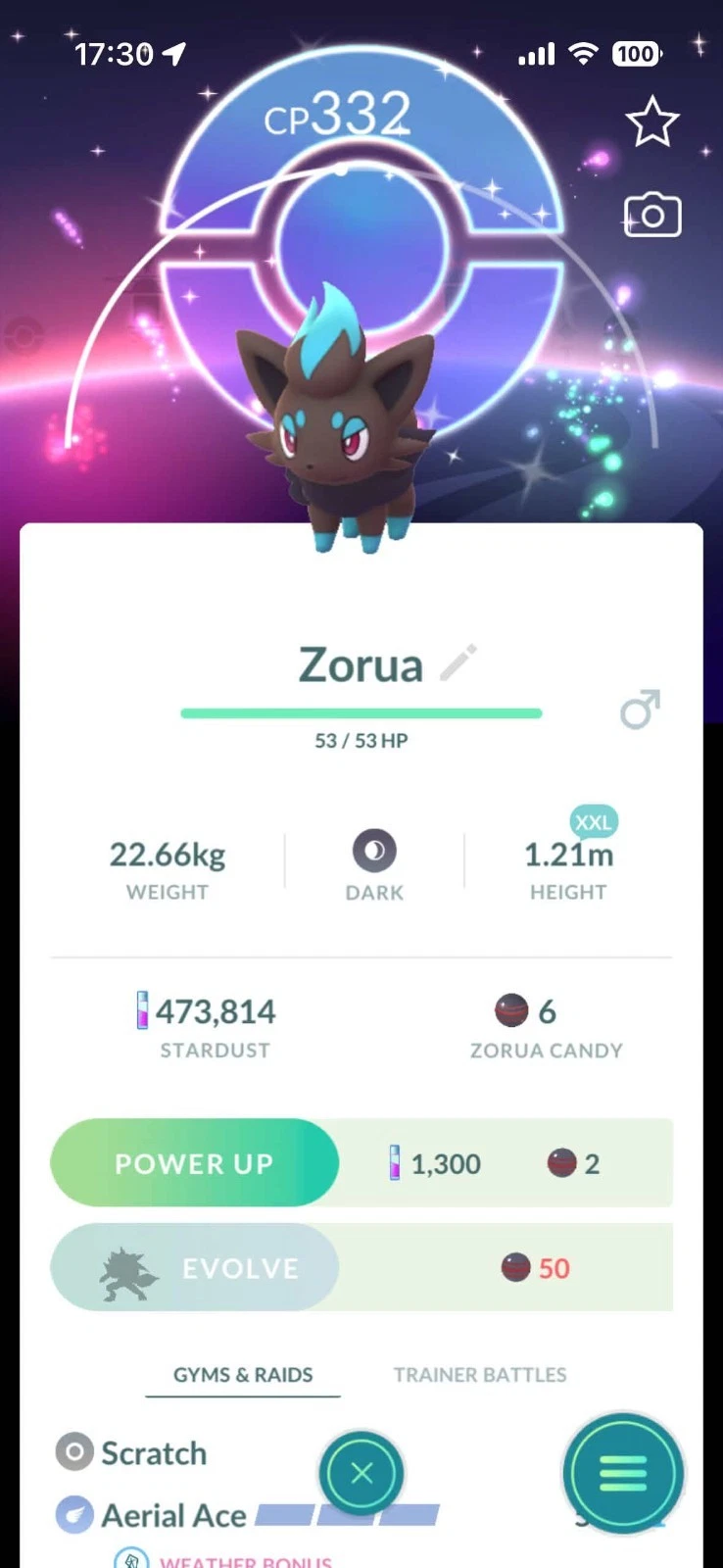 Pokemon PTC Go - XXL Shiny Zorua - Community Day Background